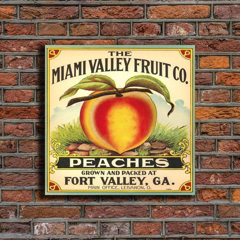 Wall Decor Poster Kayu Gambar Buah Buahan