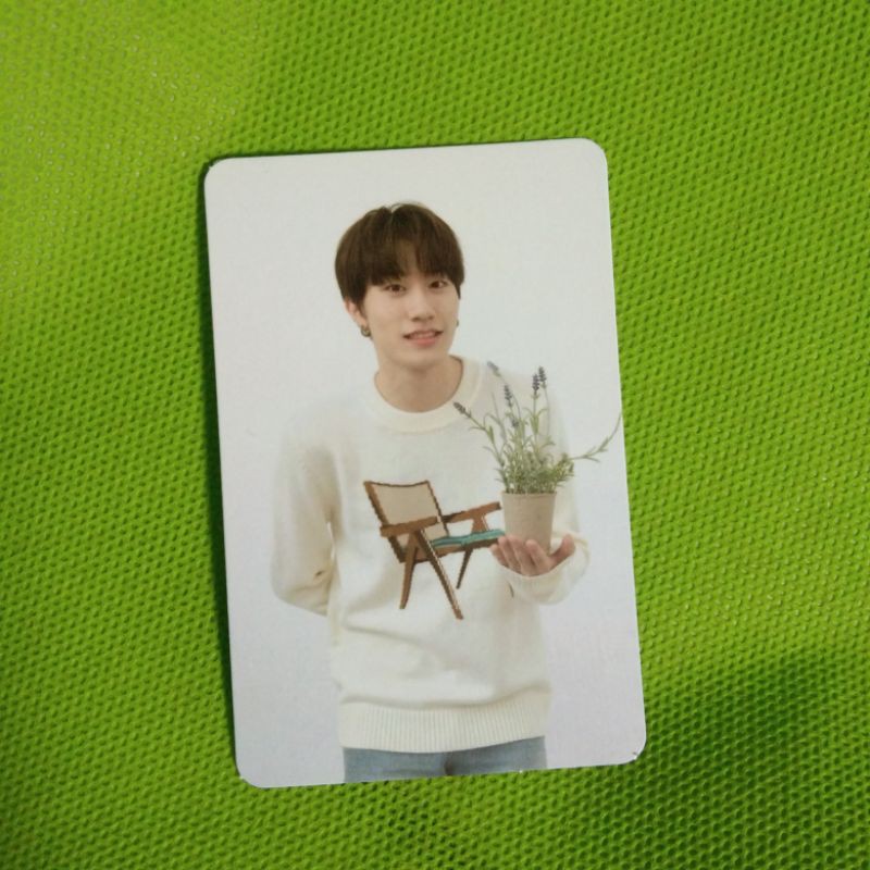 [WTS] AR Photocard Bang Yedam Treasure Full Album - Green ver