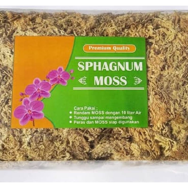 Sphagnum moss chile