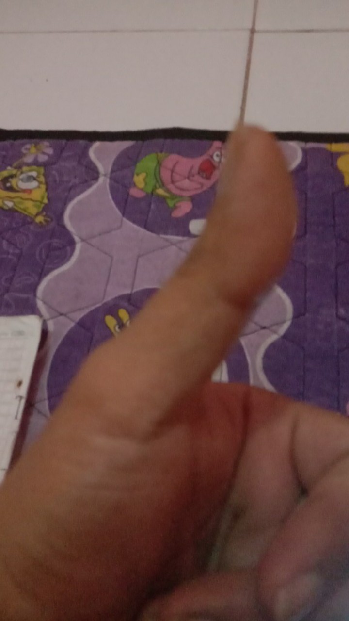 Kamper Swallow Naphthalene Disk Ball 300gr 300 Gr 300g