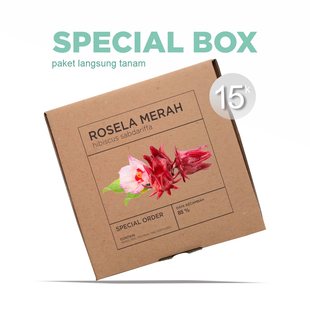 Paket Langsung Tanam - Gardening Kit - SPECIAL BOX - Benih Rosela Merah Red Roselle (Hisbiscus sabdariffa) Seeds