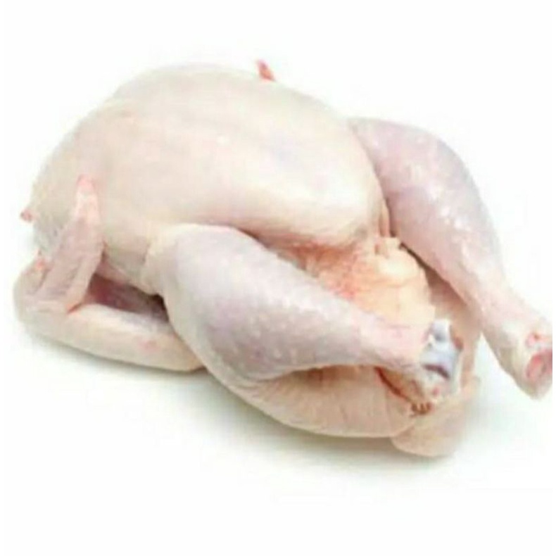 

Ayam karkas boiler 1-1.1 kg