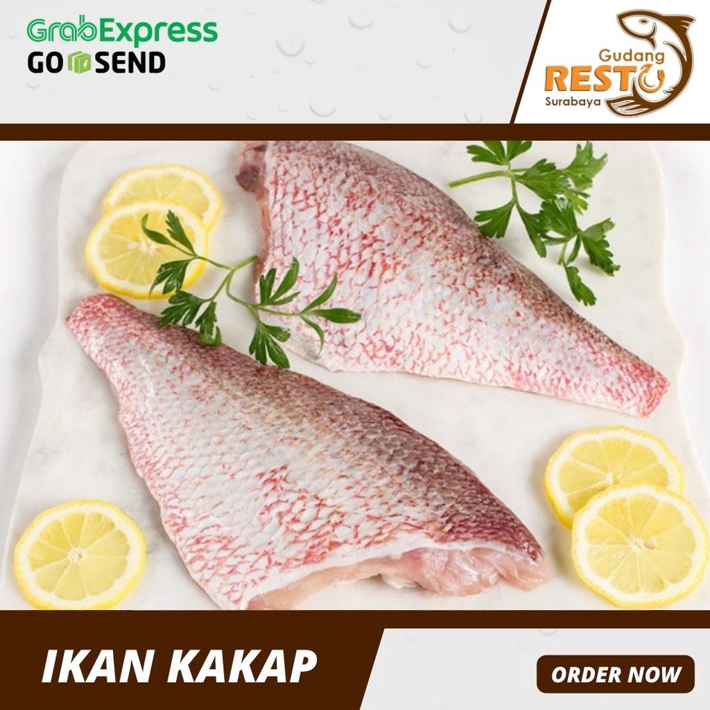 

Ikan Kakap Fillet Segar / Ikan Kakap Fresh / Gudang Resto Surabaya