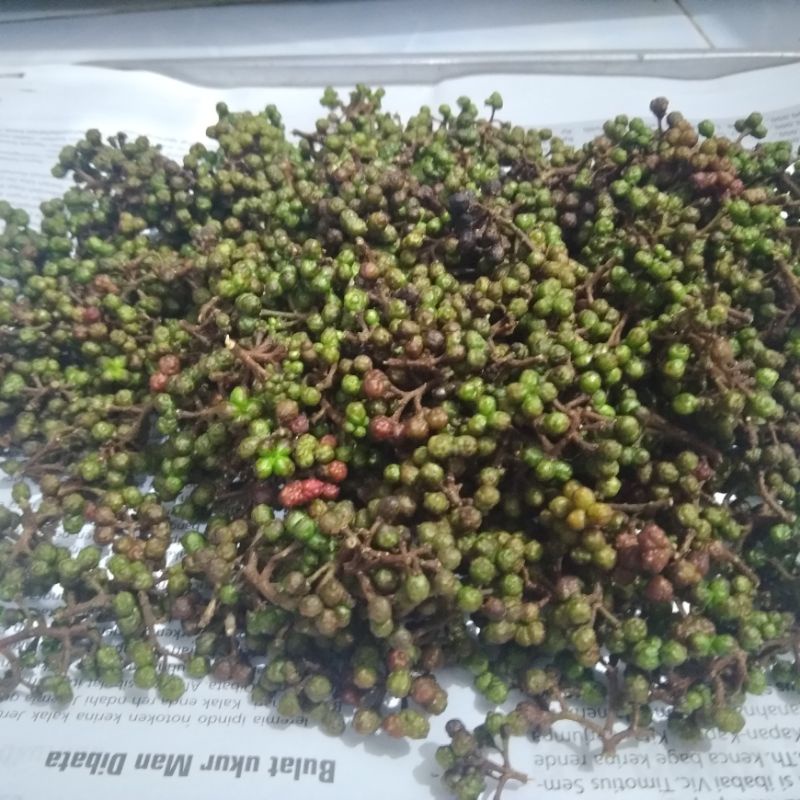 

Andaliman Segar 50 gr / tuba / masak khas batak / masak arsikl