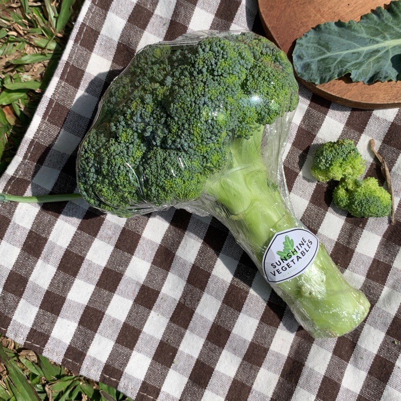 

BROKOLI [500gr] / BROCCOLI by Sunshine Vegetables