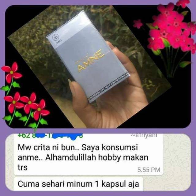 AMNE Asam Amino Evolution Nasa obat penggemuk badan