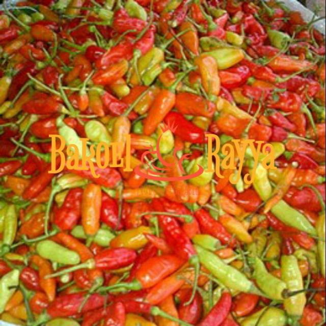 

Cabe rawit