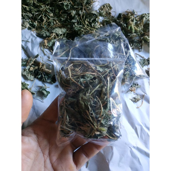 TEH DAUN PEGAGAN KERING / TEH DAUN PEGAGAN ORGANIK