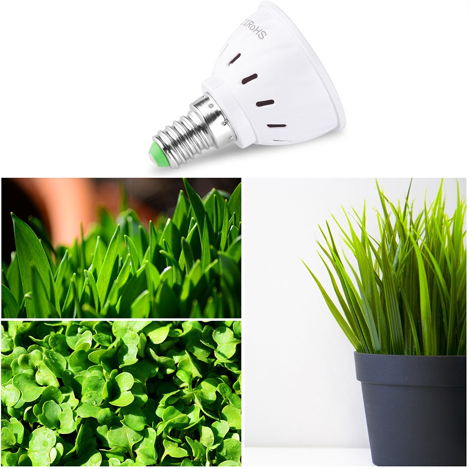 Hot Sale/E27/E14 LED Lampu Pertumbuhan Hidroponik/LED Grow Bulb Lampu Spektrum Penuh/220V Lampu UV Lampu Tanaman/Seedling Bunga Grow Lamp/LED Indoor Lighting Grow Lights