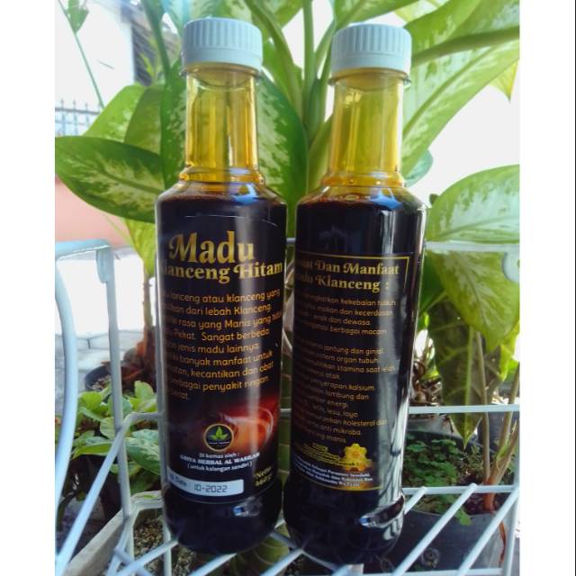 

Madu klanceng Hitam
