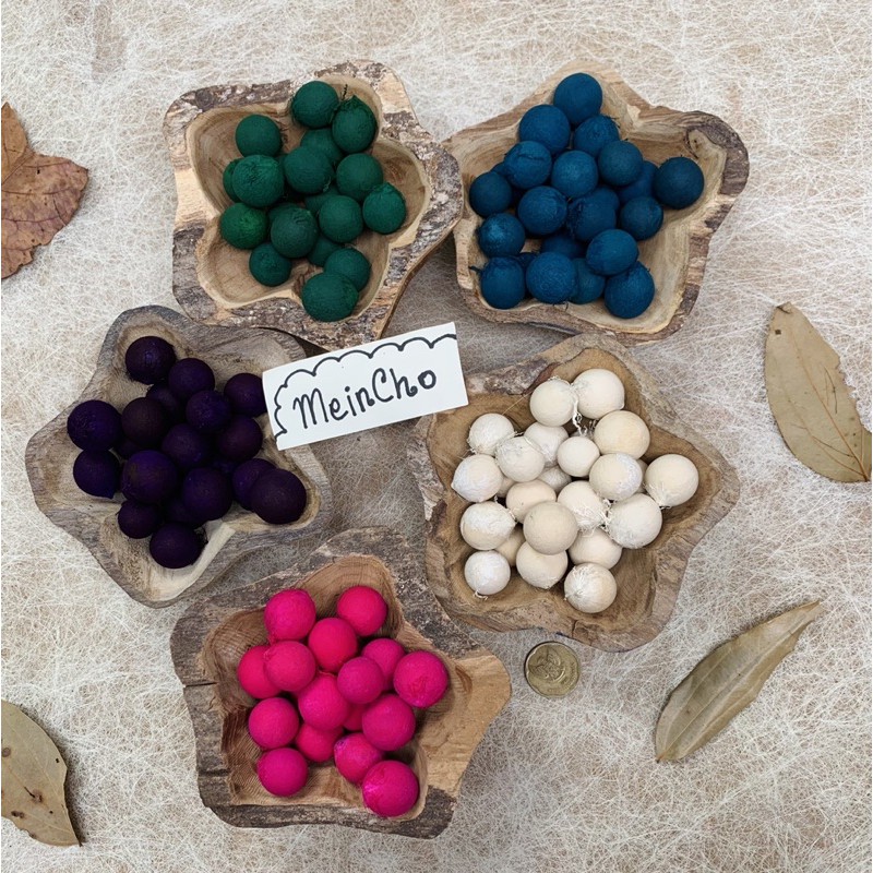 (1kg/300 biji) Kolase Biji Nyamplung Buah Nyamplungan Biji Pingpong Kepala Boneka Dekorasi Rustik