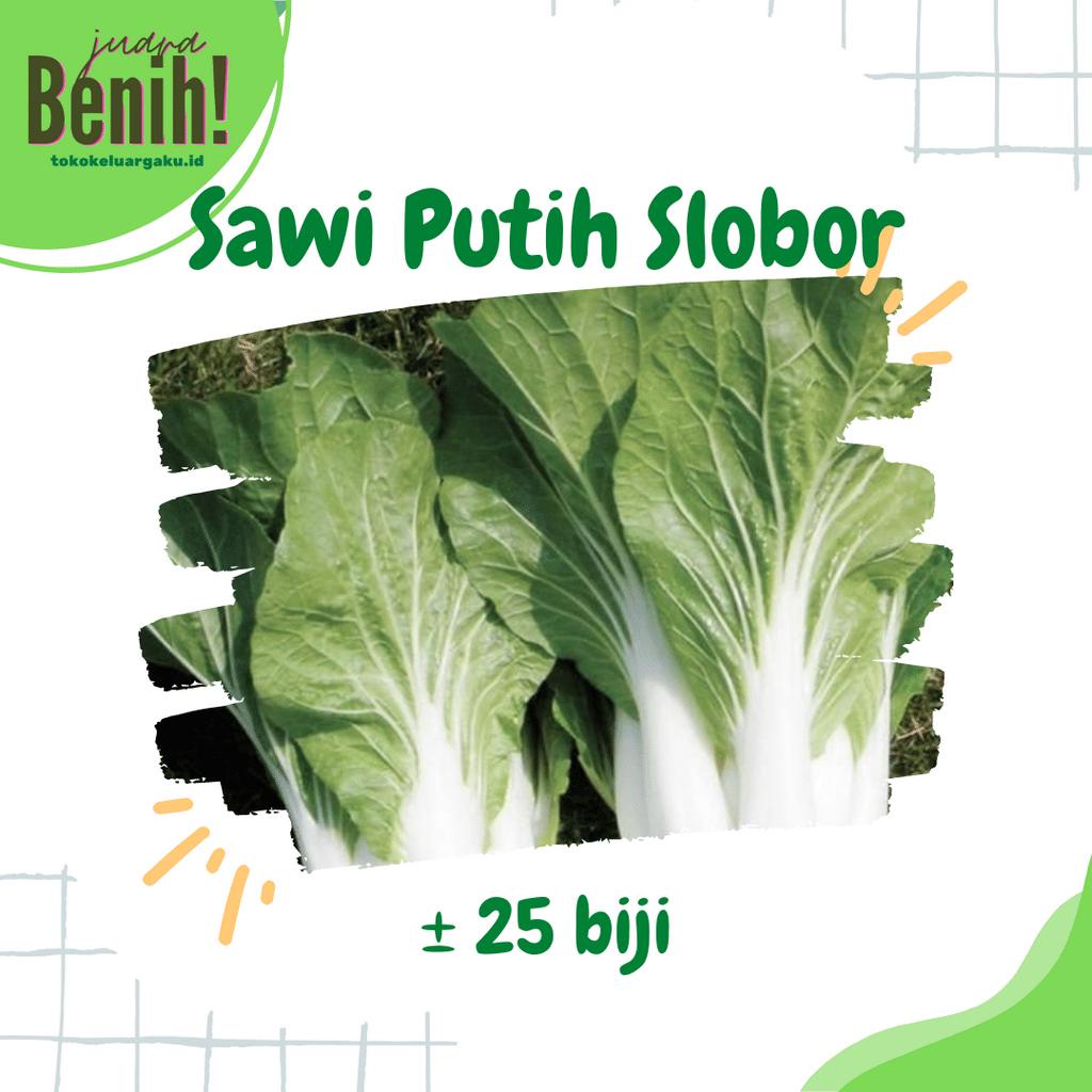 20 biji Benih Bibit Sawi Putih F1 Autumn Sun Bibit Sayuran Dataran Rendah Sayur Slobor Unggul Berkua