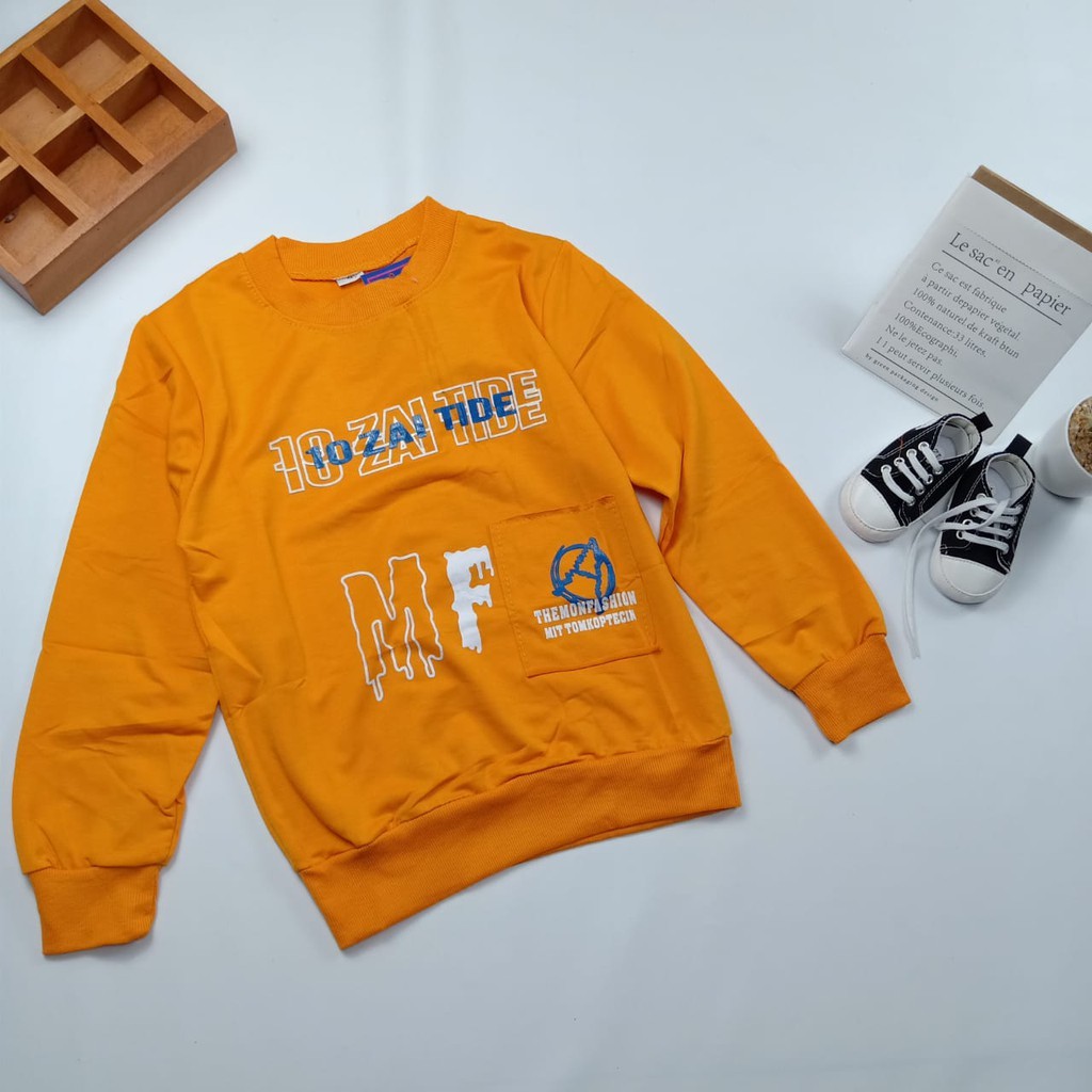 SWEATER ANAK IMPORT / SWEATER ANAK LAKI-LAKI / SWEATER IMPORT PREMIUM 5-12 TH