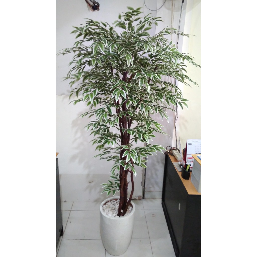  Pohon Artificial  Hawaian Ficus Shopee Indonesia