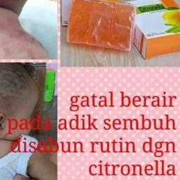 ◌ Sabun Citronella 80 gram Sabun Bidoyi Citronella Original ❀