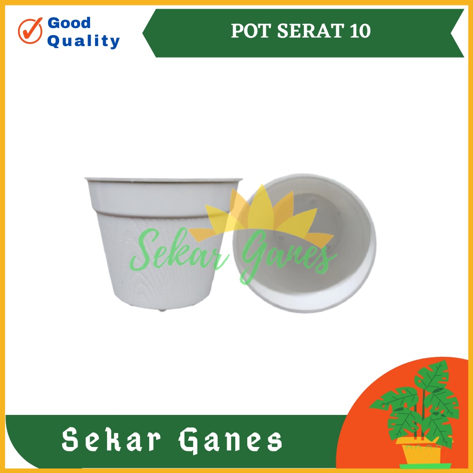 Pot Es Krim 10cm Putih Tanpa Lubang Bawah Pot Bunga 10 Cm Pot Mini Minimalis Kaktus Plastik Lucu Murah