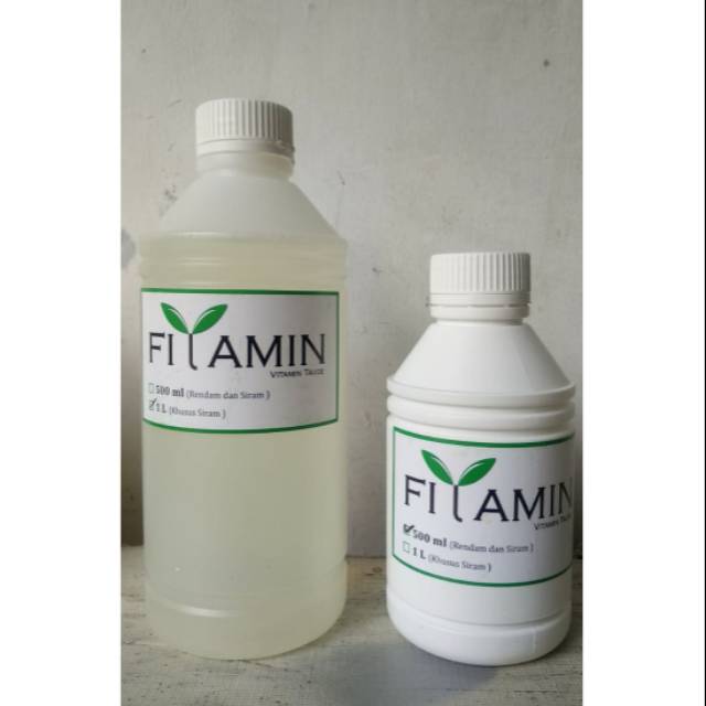 Vitamin Nutrisi Fitamin Filamin Tauge