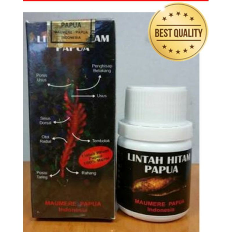 Minyak Lintah Papua Hitam