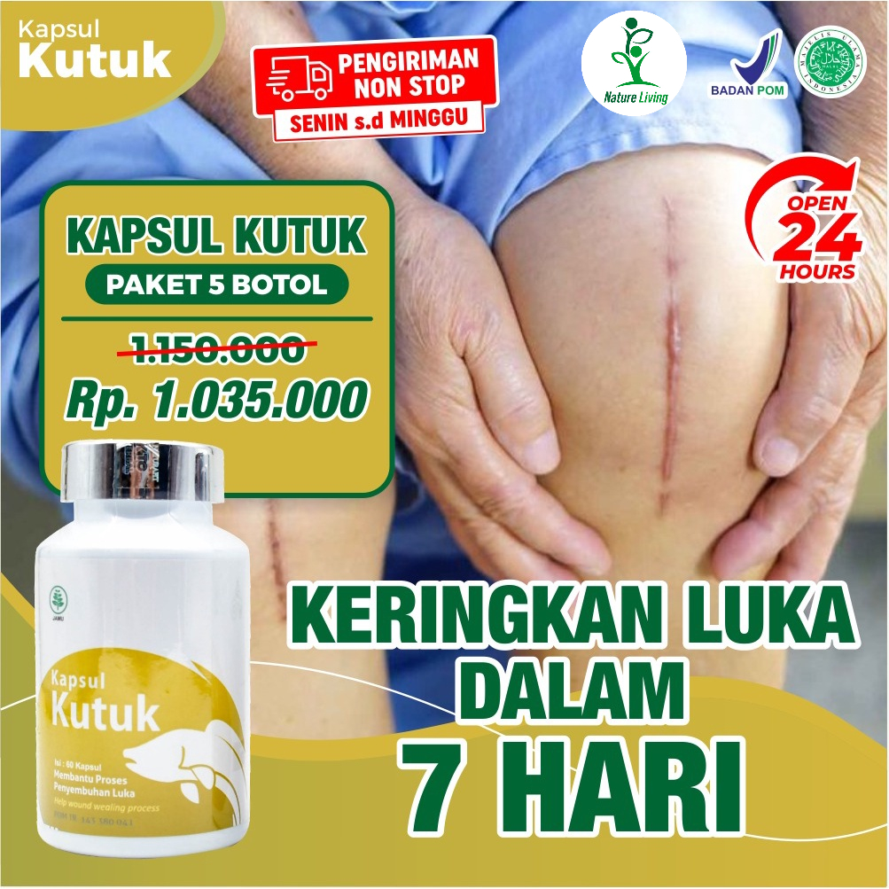 Jual Kapsul Kutuk Paket 5 Botol Obat Luka Cepat Sembuh Pasca Operasi