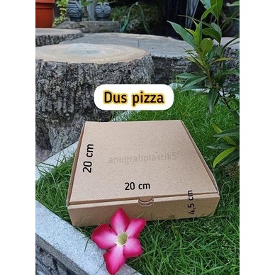 

(:(:(:(] Box Kraft Pizza Polos uk 20 x 20 / dus coklat pizza PER PACK