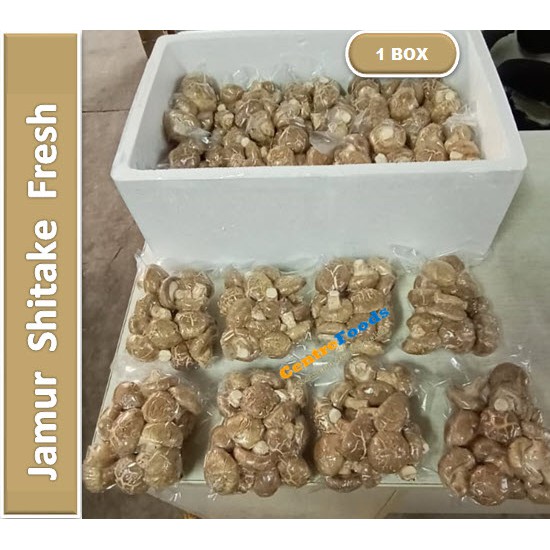 

Jamur Shitake Fresh | Import [ Harga Per BOX ]