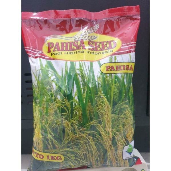 BENIH PADI HIBRIDA PAHISA 01 PAHISA SEED