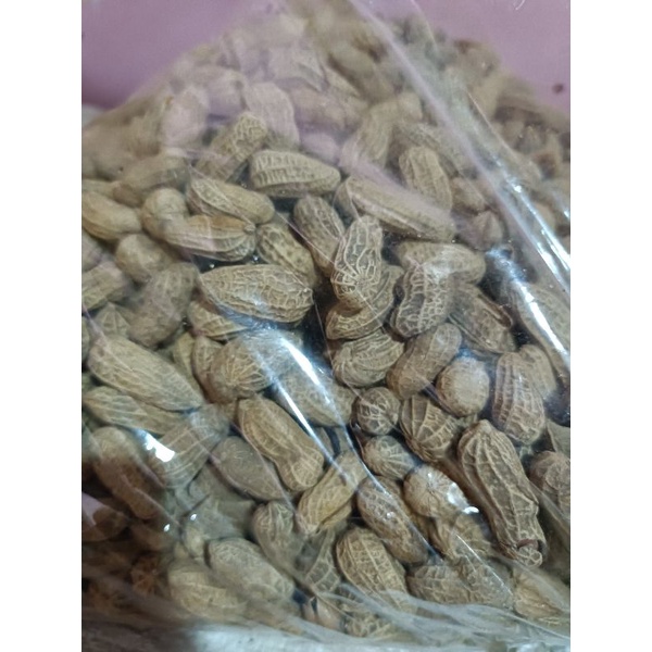 

kacang gunung 250gram