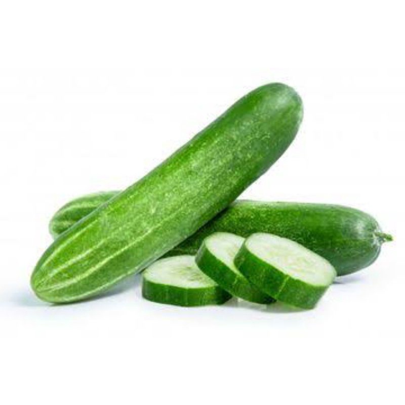 

Timun - Mentimun - Ketimun Sayur Segar Fresh Lengkap