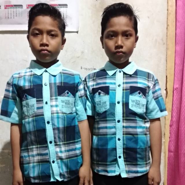emenlestari