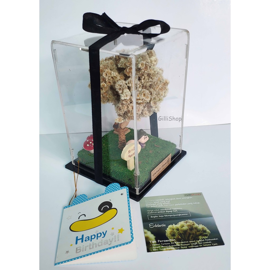 Box Miniatur Bunga Edelweis Shopee Indonesia Box Miniatur Bunga Edelweis Shopee Indonesia