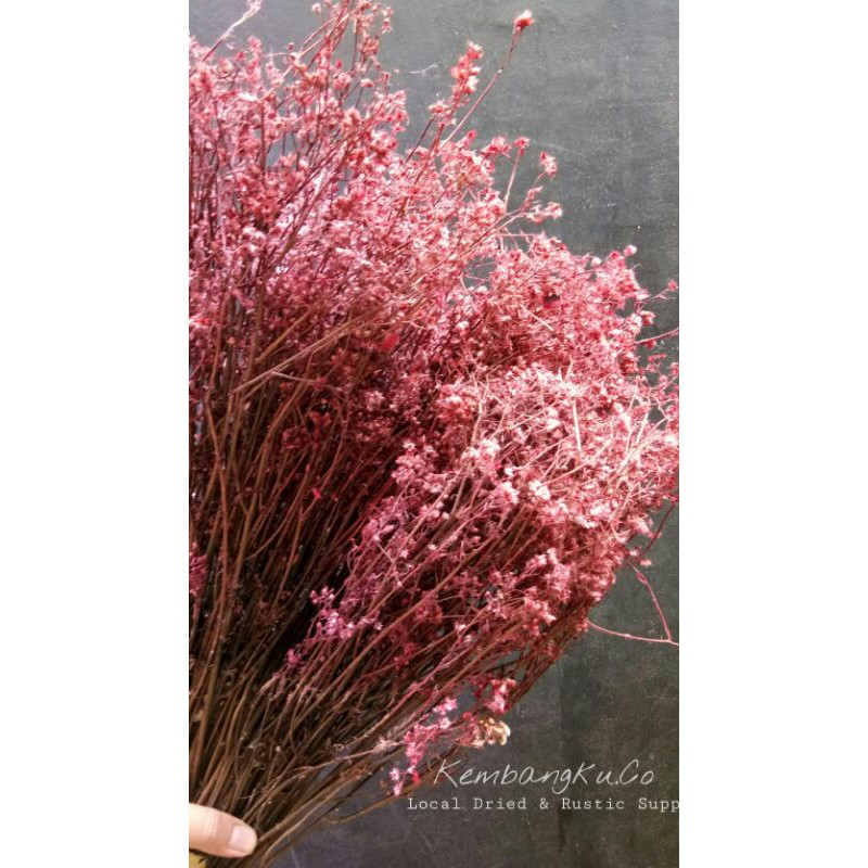 Bunga Kering Veronia Merah/Ikat/GROSIR