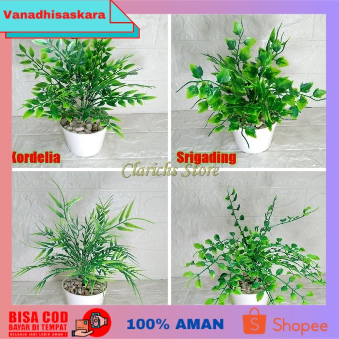 (BISA COD) Tanaman Plastik  Miniplant Monstera  Hiasan Rak Dinding Meja - Bambu