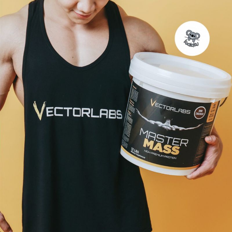 Vectorlabs Master Mass Gainer 2 lbs 900gr Susu Protein Gym Bulking Penggemuk Penambah Berat Badan Suplemen Gym Fitness