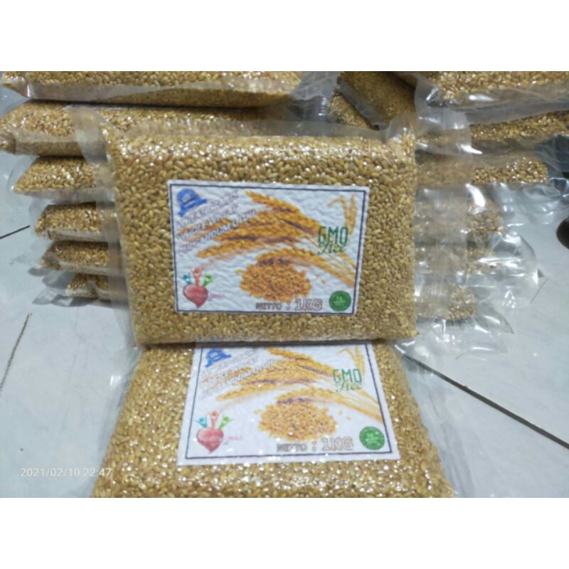 

wheat grains/whole wheat/wheat grass kemasan vacum 1kg
