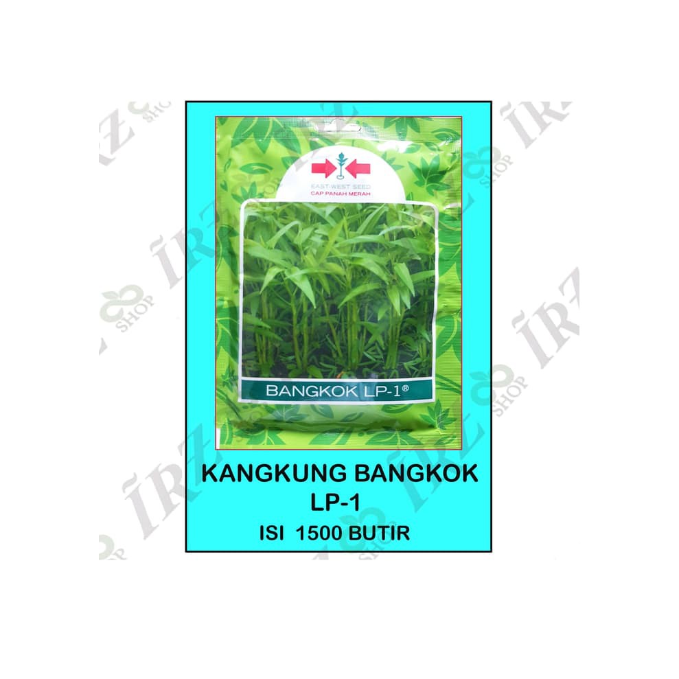 benih kangkung bangkok panah merah
