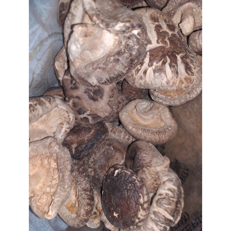 

Jamur Kering Shitake 500 gram