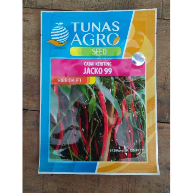 BENIH CABAI CABE KERITING JACKO 99