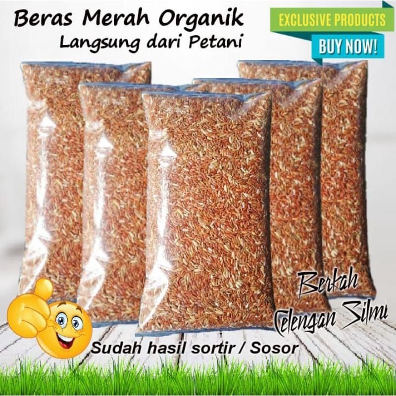 

Beras Merah Sosoh Organik untuk Diet, Diabetes, dan MPASI