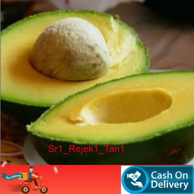 Bibit alpukat  miki asli unggul/alpukat mentega miki asli