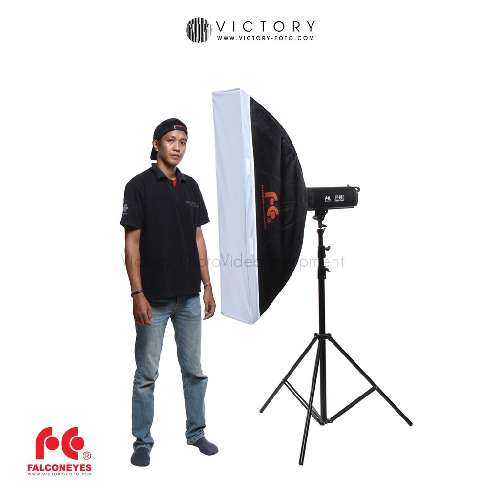SoftBox Falconeyes Kotak 30 x 120