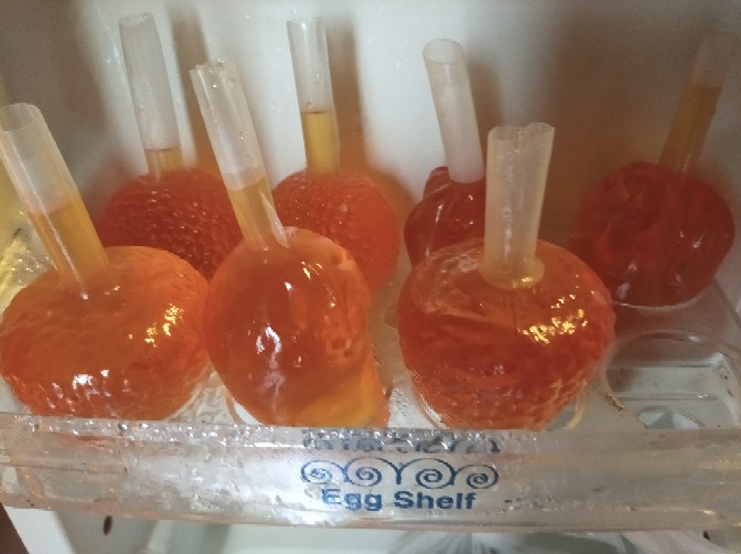 Plastik Buah Pudot 30 Ml