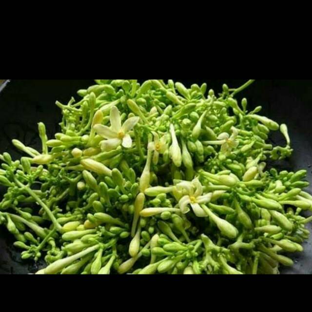 

sayur segar Bunga pepaya
