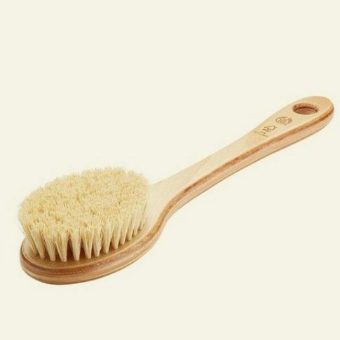 Jual THE BODY SHOP Long Handle Cactus Body Brush / Sikat Badan | Shopee  Indonesia