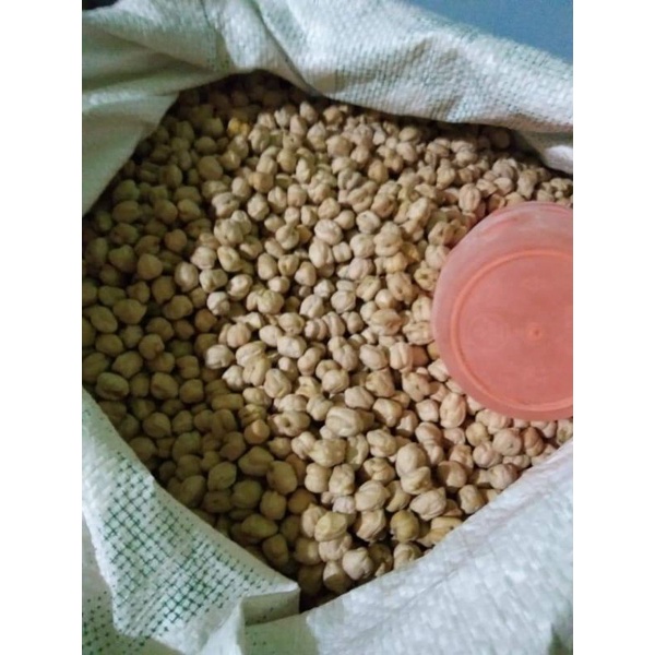 

kacang kuda malaysia