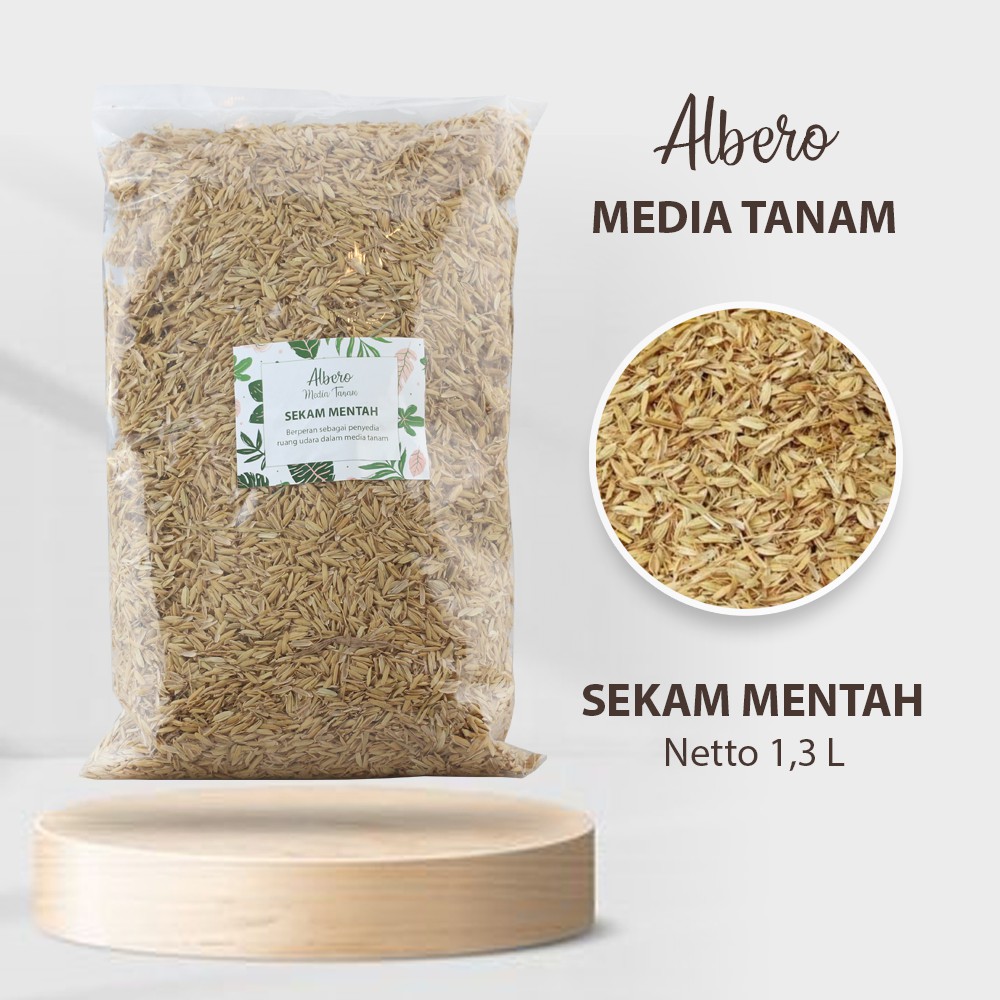 Media tanam Sekam mentah berkualitas dari Albero