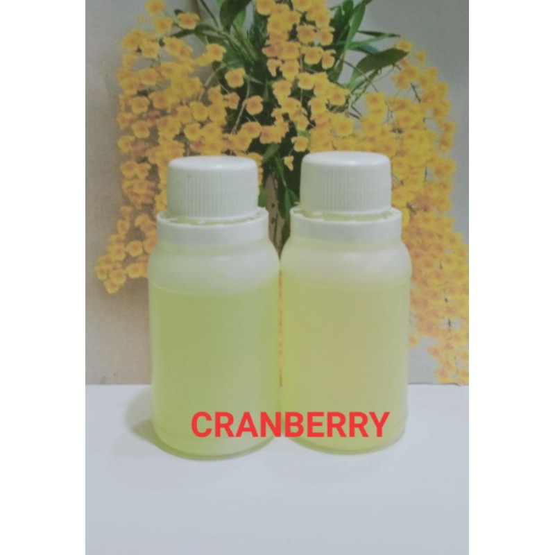 BIBIT PARFUM MURNI 100 ML CRANBERRY