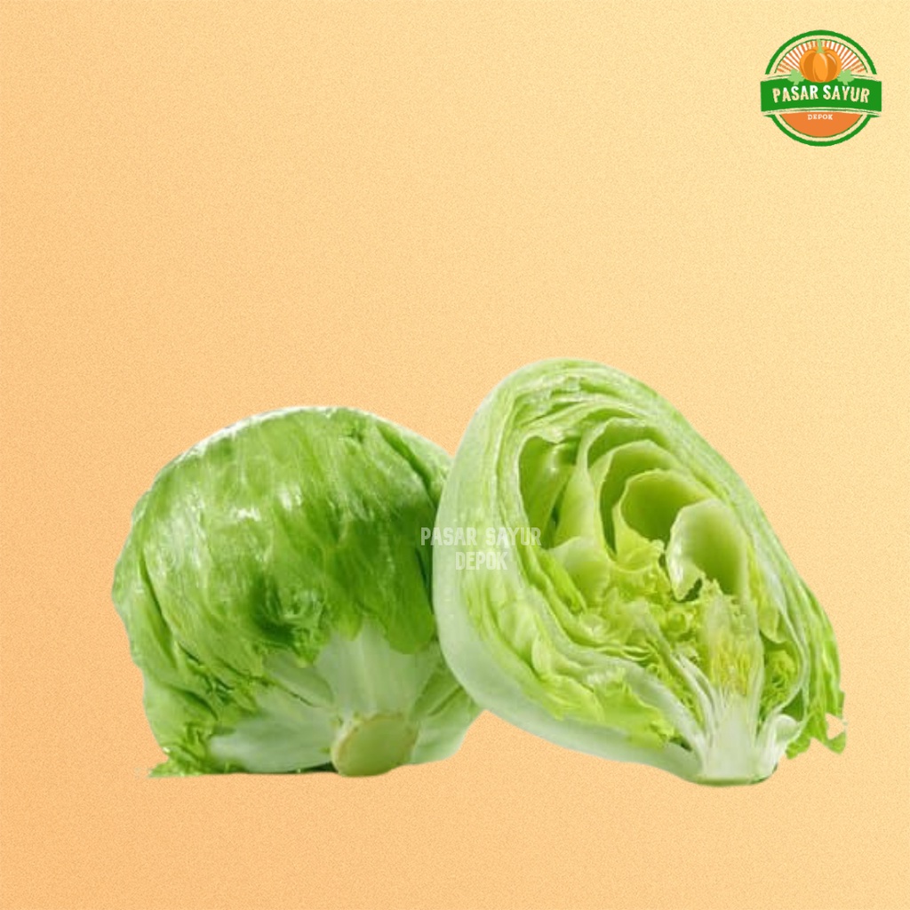 

Selada bokor fresh atau Lettuce iceberg 350 gram