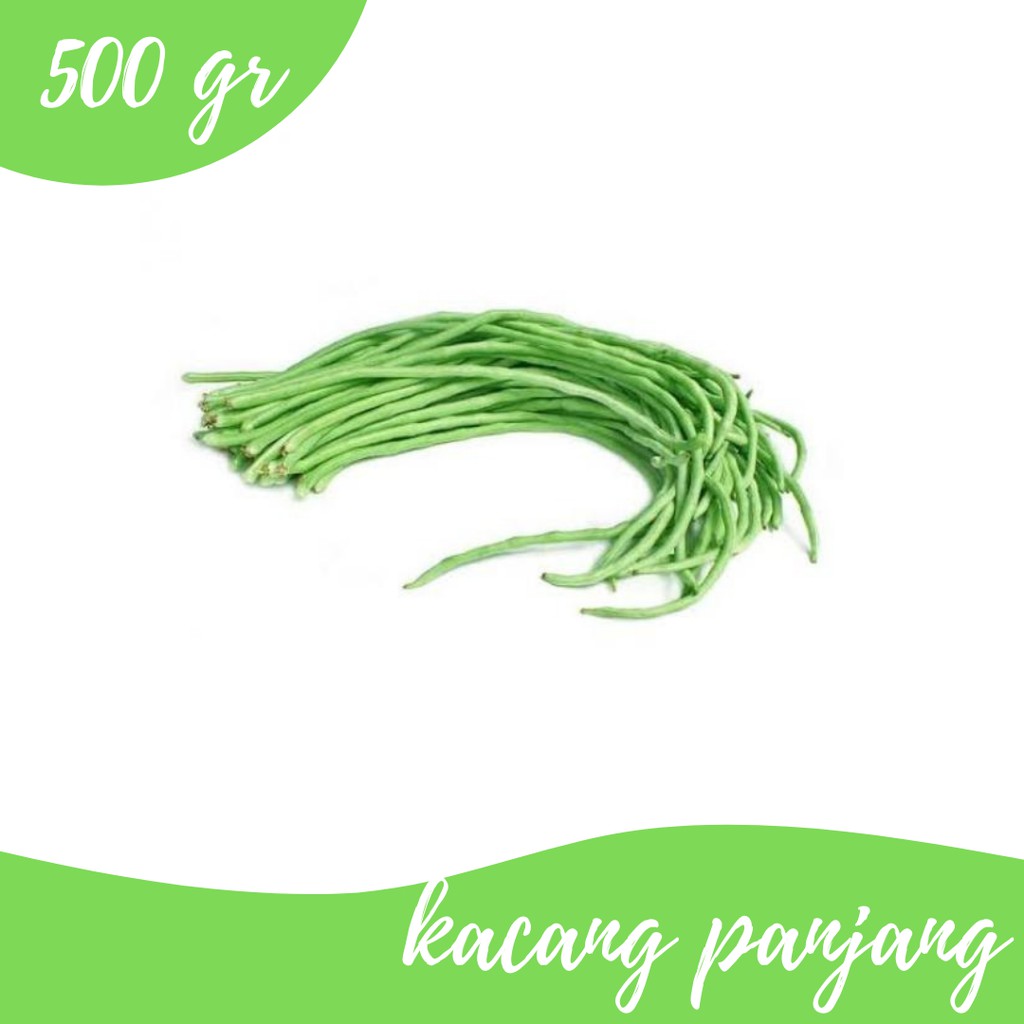 

Kacang Panjang