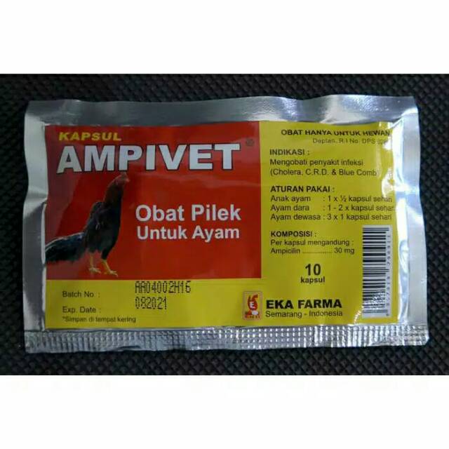 Ampivet obat pilek ayam