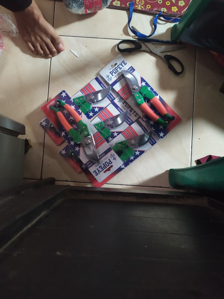 Gunting Dahan Stek Ranting Stenles Murah Tajam Igm Fukuda 8